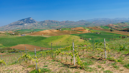 Fototapeta na wymiar Krajobraz Sycylii