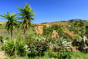 Fototapeta na wymiar Krajobraz Sycylii