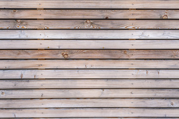 Kieferholzwand Background