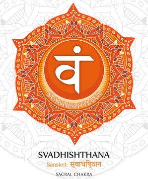 Vector of Svadhishthana chakra
