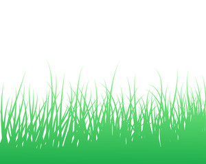 Obraz premium Grass silhouette vector illustration 