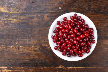 dogwood in a plate top view