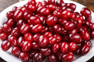 dogwood in a plate top view