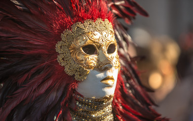 Traditional venetian carnival costume