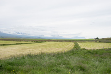 Landschaft in Nord-Island