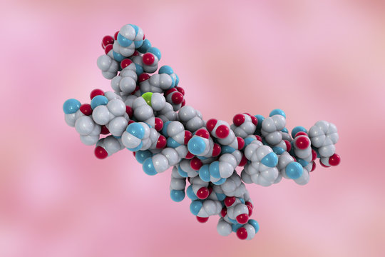 Human parathyroid hormone, molecular model, 3D illustration. Also called parathormone, parathyrin, is secreted by the parathyroid glands and takes part in bone remodeling