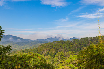 Fototapeta na wymiar View to jungle from Punthuk Setumbu viewpoint near Yogyakarta city, Java, Indonesia