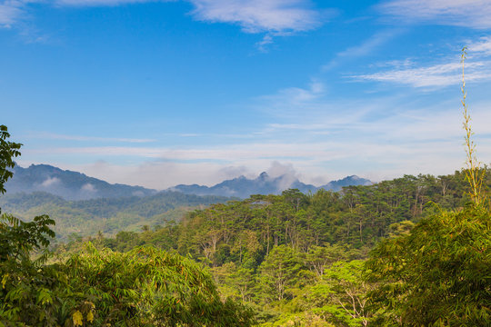 Fototapeta View to jungle from Punthuk Setumbu viewpoint near Yogyakarta city, Java, Indonesia