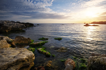 Beautiful landscape with stones and moss in the sea at sunset in the Crimea