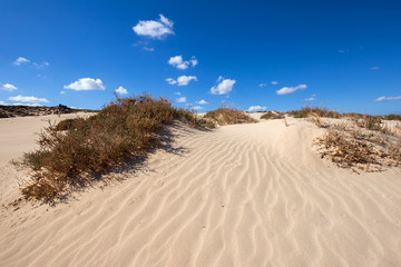 Dune di Corralejo