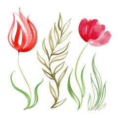 Floral watercolor illustration. Vintage hand drawn flowers. Tulips for Mother's Day, wedding, birthday, Easter, Valentine's Day.