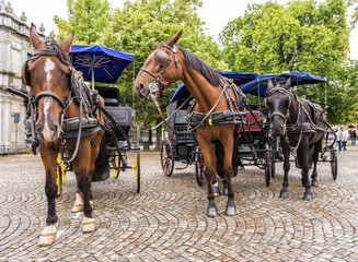 Beautiful Horse and Carriage Ride in Europe 