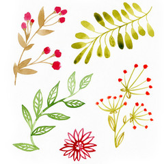 Set of flowers and leaves painted on white paper. Watercolor sketch of flowers and herbs. Colorful wildflowers for Mother's Day, wedding, birthday, Easter, Valentine's Day.