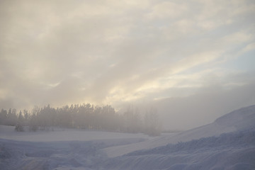 Snowy winter landscape.