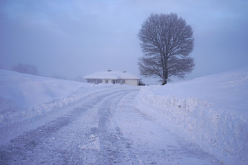 Obraz premium Snowy winter landscape.