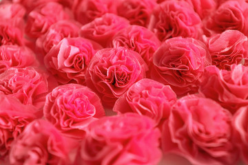 Red roses background, handmade from crepe paper