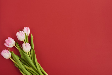 Valentines day background with pink tulips over red background. Space for text