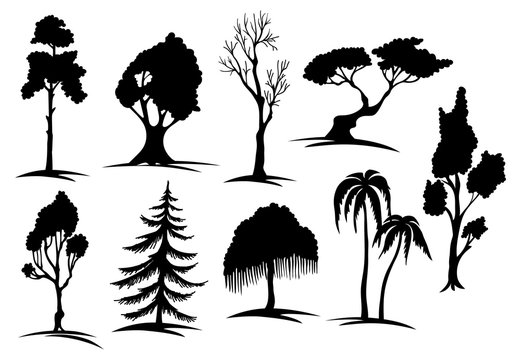 trees set