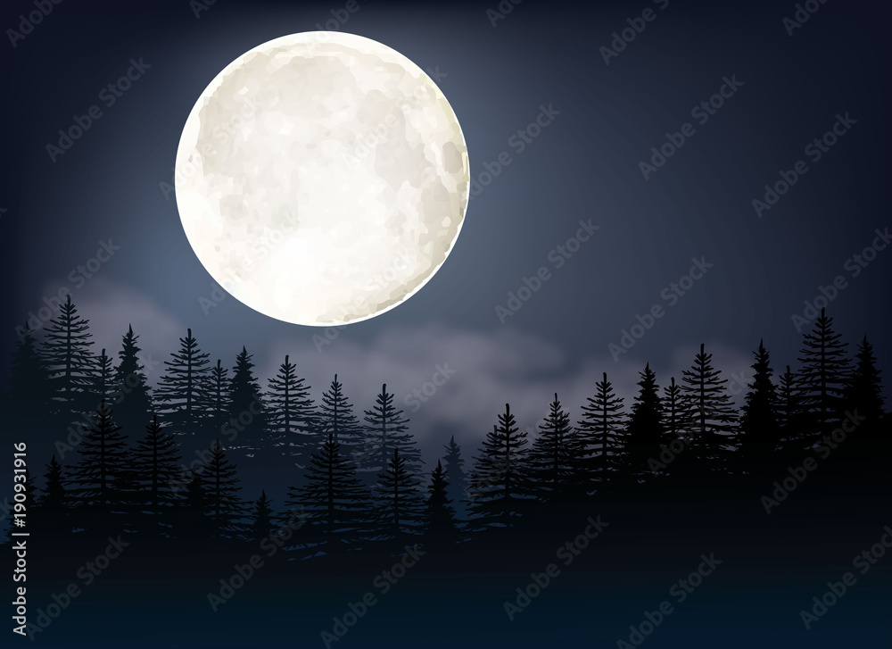 Wall mural full moon vector illustration. a night sky background with trees and moonlight.