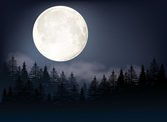 Fototapeta na wymiar Full Moon vector Illustration. A night sky background with trees and moonlight.