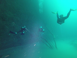 Divers