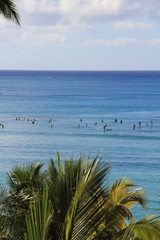 surfers off the oahu coast