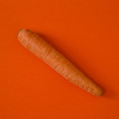 Orange Carrot Dramtically Lit on an Orange Background