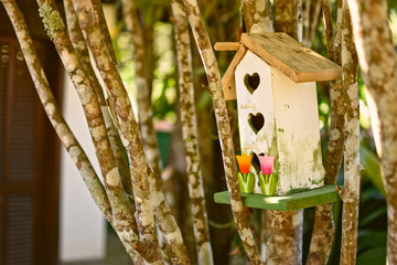 Casinha de pássaros