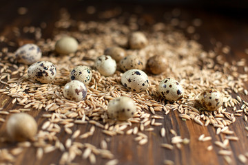 Fototapeta na wymiar quail eggs and seeds on a dark wooden table