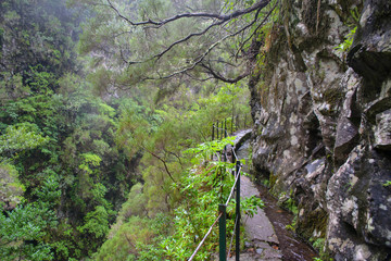 K&ouml;nigslevada Levada do Rei Madeira Portugal