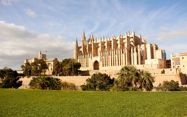 palma mallorca cathedral - 190939142