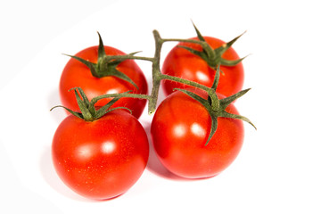Strauchtomaten