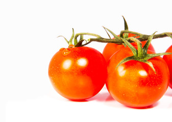 Strauchtomaten