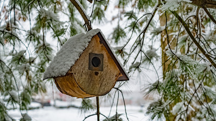Bird House in the snow