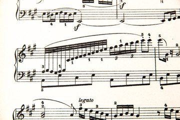 Fototapeta premium Notenblatt