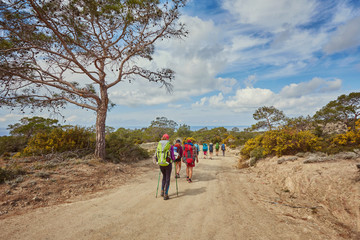 Obraz premium Akamas. Mediterranean Sea. A group of tourists with large backpacks are on the sandy road to the sea