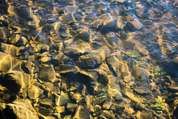 water rocks in river shallow