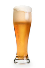 Pint of beer isolated with clipping path