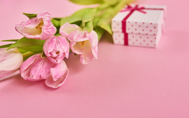 Valentines day background with pink tulips and gift box over pink background. Space for text