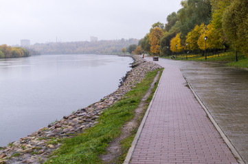 calm riverside at rainy autumn morning. background, nature.