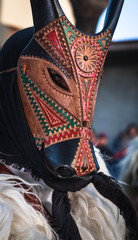 Traditional sardinian mask