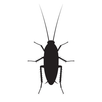 Cockroach sign. Vector.