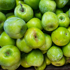 Apples