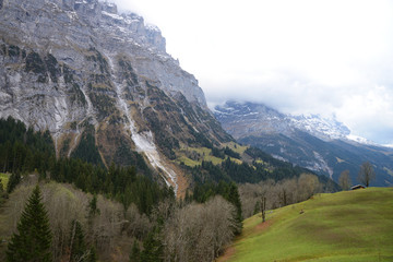 Obraz premium Schreckhorn mountain, Jungfrau region, Switzerland