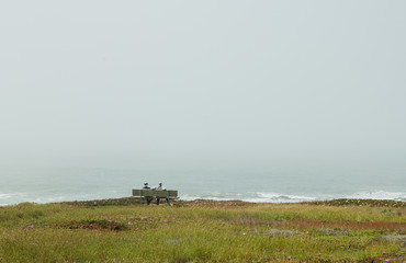 Two old people sitting on the bench and looking at the sea.