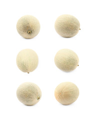 Single whole cantaloupe melon isolated