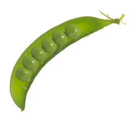 Sugar pea pod with peas isolated on white background