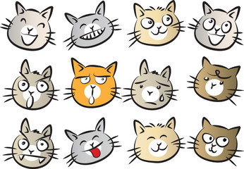 cats Expression package