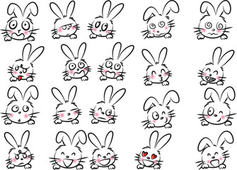 rabbit Expression package