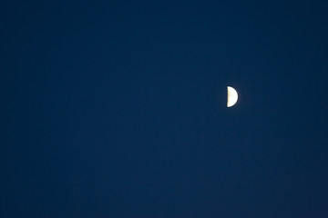Half moon in dark blue evening sky